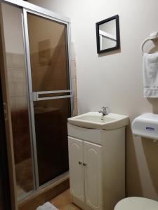 a bathroom with a sink and a shower at Hospedaje Yaldai in Turrialba