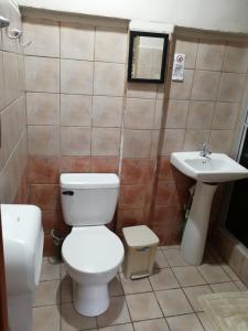 y baño con aseo y lavamanos. en Hospedaje Yaldai, en Turrialba