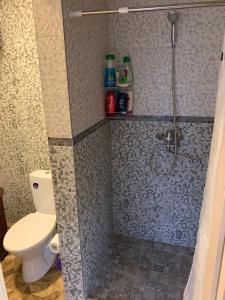 ein Bad mit einem WC und einer Dusche in der Unterkunft Rusnės Apartamentai in Rusnė