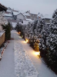 Apartmani "Helena" v zimě