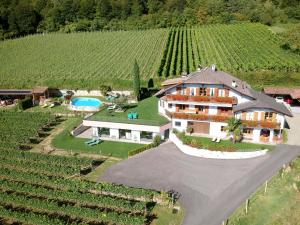 an aerial view of a large house in a vineyard at Weingut Wolkanhof in Appiano sulla Strada del Vino
