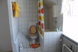 a small bathroom with a toilet and a shower at Ferienwohnung Volskyy in Trier