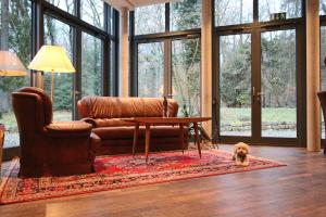 a living room with a couch and a dog on a rug at Hardtwald Hotel in Bad Homburg vor der Höhe