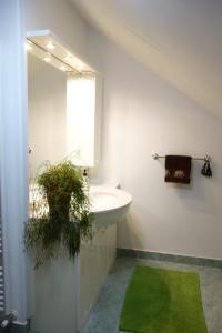 Fotografie z fotogalerie ubytování Apartment Beks v destinaci Postojna