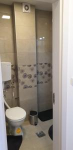 A bathroom at Apartman Mina Divcibare