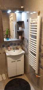 A kitchen or kitchenette at Apartman Mina Divcibare