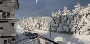 Apartman Mina Divcibare during the winter