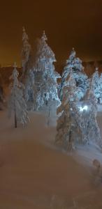 Apartman Mina Divcibare during the winter