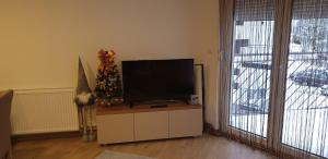 A television and/or entertainment centre at Apartman Mina Divcibare