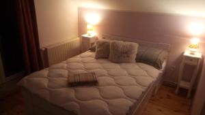 a bed in a room with two lights on two tables at Agroturystyka SZYSZKA in Polnica