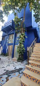 Billede fra billedgalleriet på Bloom! exclusive boutique b&b i Playa del Carmen