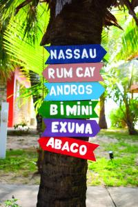 a tree with colorful signs on it at The Sands Hotel in Cockburn Town