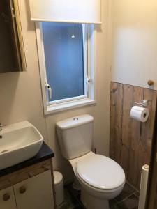 a bathroom with a toilet and a sink and a window at 81 The Heathers, Aviemore Holiday Park , Dalfaber rd Aviemore PH22 1PX in Aviemore +18 photos