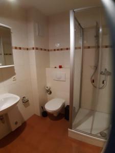 a bathroom with a shower and a toilet and a sink at Wohnung Bernstein - Nr. 4 in Dierhagen