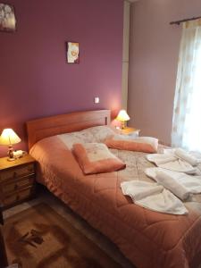 - une chambre avec 2 lits et des oreillers dans l'établissement Epikoureios Apollon, à Andritsaina