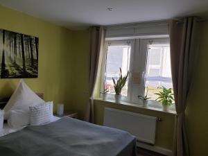 a bedroom with a bed and two windows with potted plants at Ferienwohnung Steiner in Homburg