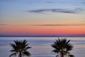 twee palmbomen voor de oceaan bij zonsondergang bij Icon Suites in Potos