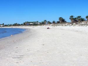 een zandstrand met palmbomen en de oceaan bij Casa Liliana in Oristano