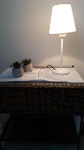 a table with a lamp and two plants on it at relajado monoambiente in San Miguel de Tucumán