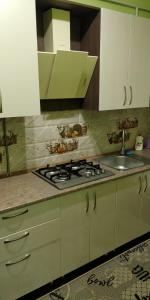 a kitchen with a stove and a sink at Apartment near University in Chernivtsi