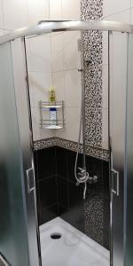 a bathroom with a shower with a toilet at Apartment near University in Chernivtsi