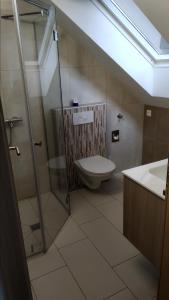 La salle de bains est pourvue d'une douche, de toilettes et d'un lavabo. dans l'établissement Apartma Marička, à Križe