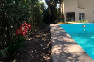 una piscina azul con una flor roja al lado en Duplex en San Lorenzo, Salta en Salta