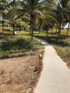 Billede fra billedgalleriet på Amigo 2 i Cap Skirring