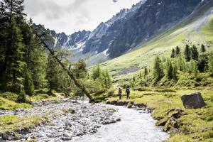 Paesaggio naturale nelle vicinanze dell'affittacamere