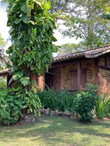 Um jardim em Pousada Jakuara
