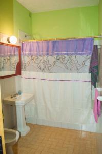 a bathroom with a shower curtain and a sink at La casa de Almirall in Santa Rosa de Calamuchita +40 photos