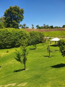 a field of green grass with trees and a white canopy at Kerikeri Blue Chair B&B in Kerikeri