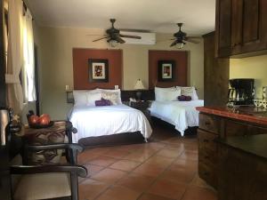 a kitchen with two beds in a room at Posada del Cortes in Loreto