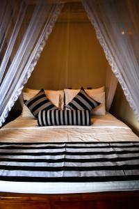 Fotografie z fotogalerie ubytování Elegant Home Stay v destinaci Ella