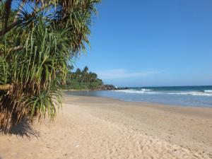 uma praia com palmeiras e o oceano em Abraham Beach House em Tangalle