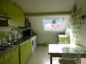 una cucina con armadi verdi, lavandino e finestra di Résidence Costallat a Bagnères-de-Bigorre