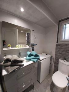 ein Bad mit einem Waschbecken und einem WC in der Unterkunft STUDIO VILLA NUI in Cuers