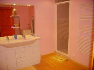a bathroom with a sink and a shower at gite les ducs in Mialanes +15 photos