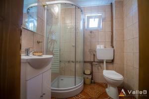 Koupelna v ubytování Cabana Ghetari