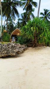 a sandy beach with palm trees and a hut at Karamba Eco Boutique Hotel in Kizimkazi