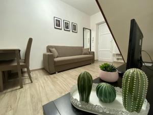 a living room with a couch and a table with cactus at The Place In Rome Guest House in Rome