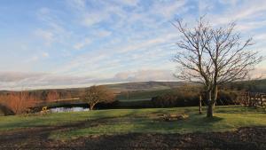 Imagen de la galería de Little Hilton Farm, en Haverfordwest