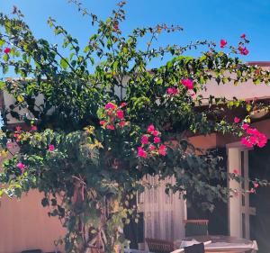 A garden outside Casa MìMì