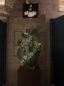 Certifikát, hodnocení, plakát nebo jiný dokument vystavený v ubytování StageROOM01 - Matera