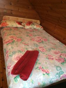 ein Bett mit einer Blumenbettdecke und zwei roten Kissen in der Unterkunft Lielie Kupri in Lautere