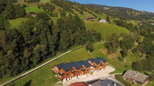 eine Luftansicht eines Hauses mit einer Gruppe von Pferden in der Unterkunft Chalet Ablon in Saalbach-Hinterglemm