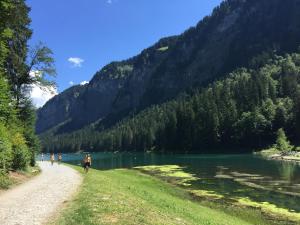 a person walking along a path next to a lake at Les Cimes in Samoëns