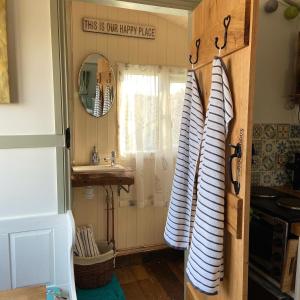 a bathroom with a sink and a shower with towels at Willowbank shepherds hut in Taunton