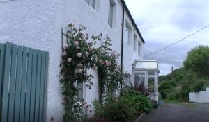 Biały dom z kwiatami na boku w obiekcie Clach Mhor w mieście Girvan