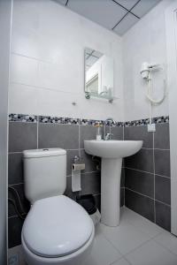 a white bathroom with a toilet and a sink at Arney Suites in Eskisehir